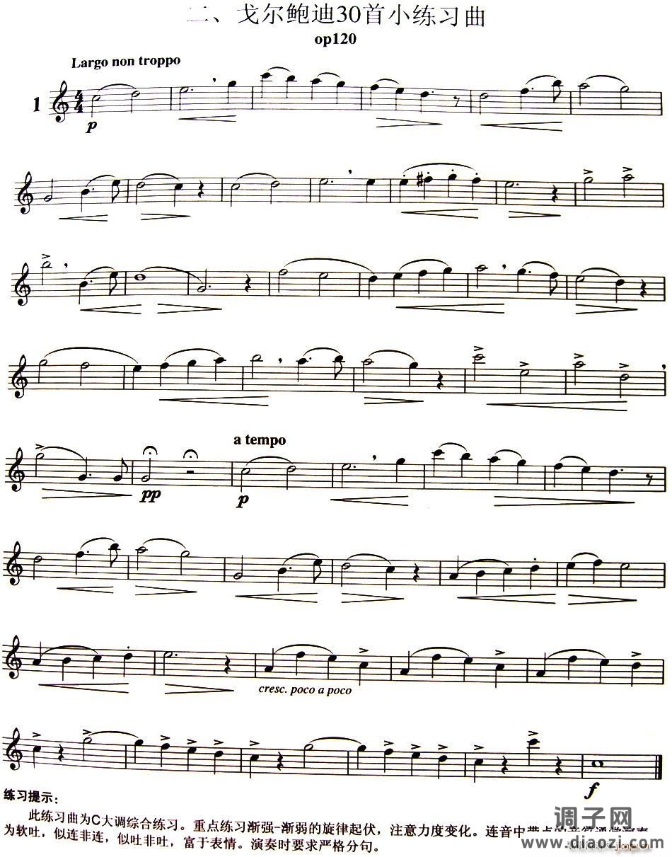 三十首小练习曲作品120号（NO 1） 长笛