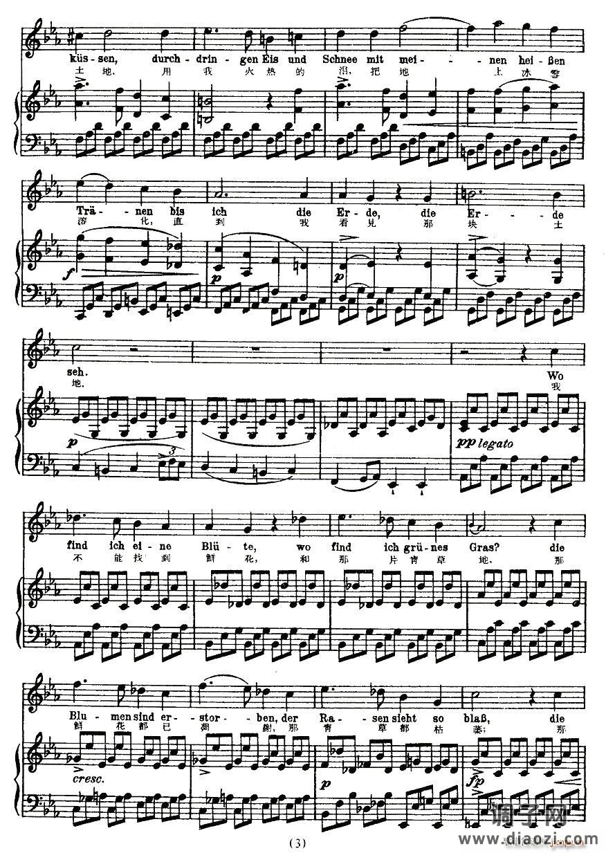 凝结（中外文对照版、正谱 [奥]）