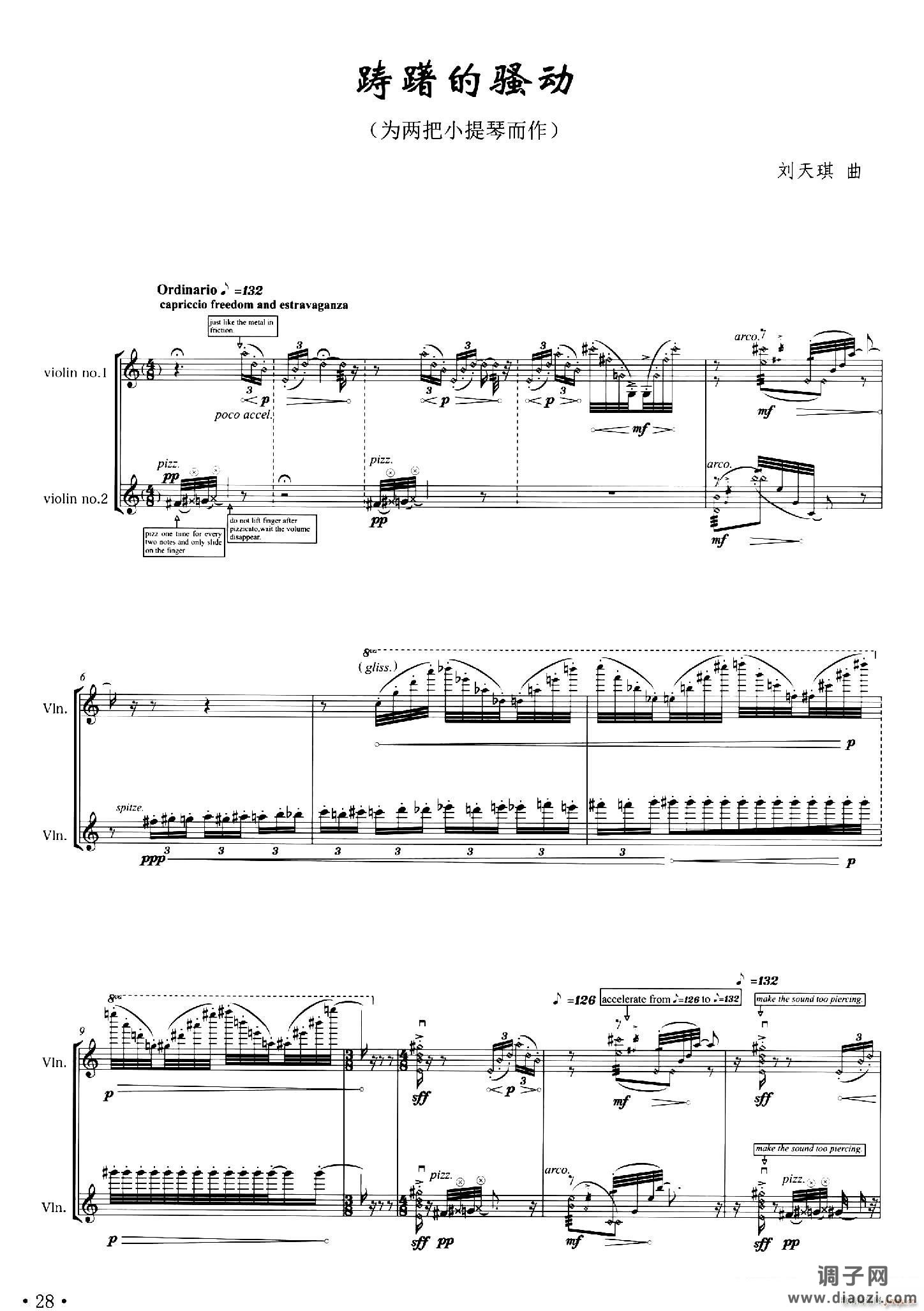 踌躇的骚动（小提琴二重奏）