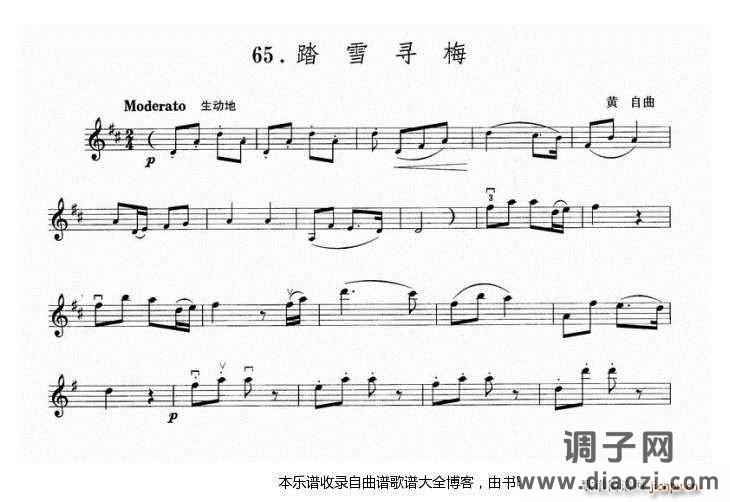 小提琴踏雪寻梅