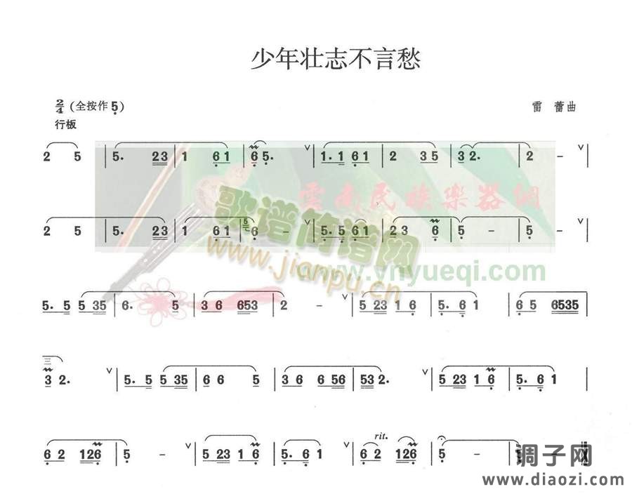 少年壮志不言愁