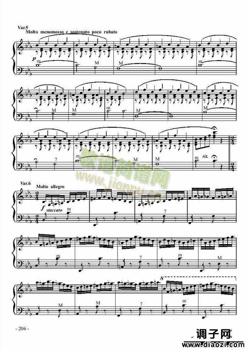 八级乐曲《乌克兰主题变奏曲》 键盘类 手风琴