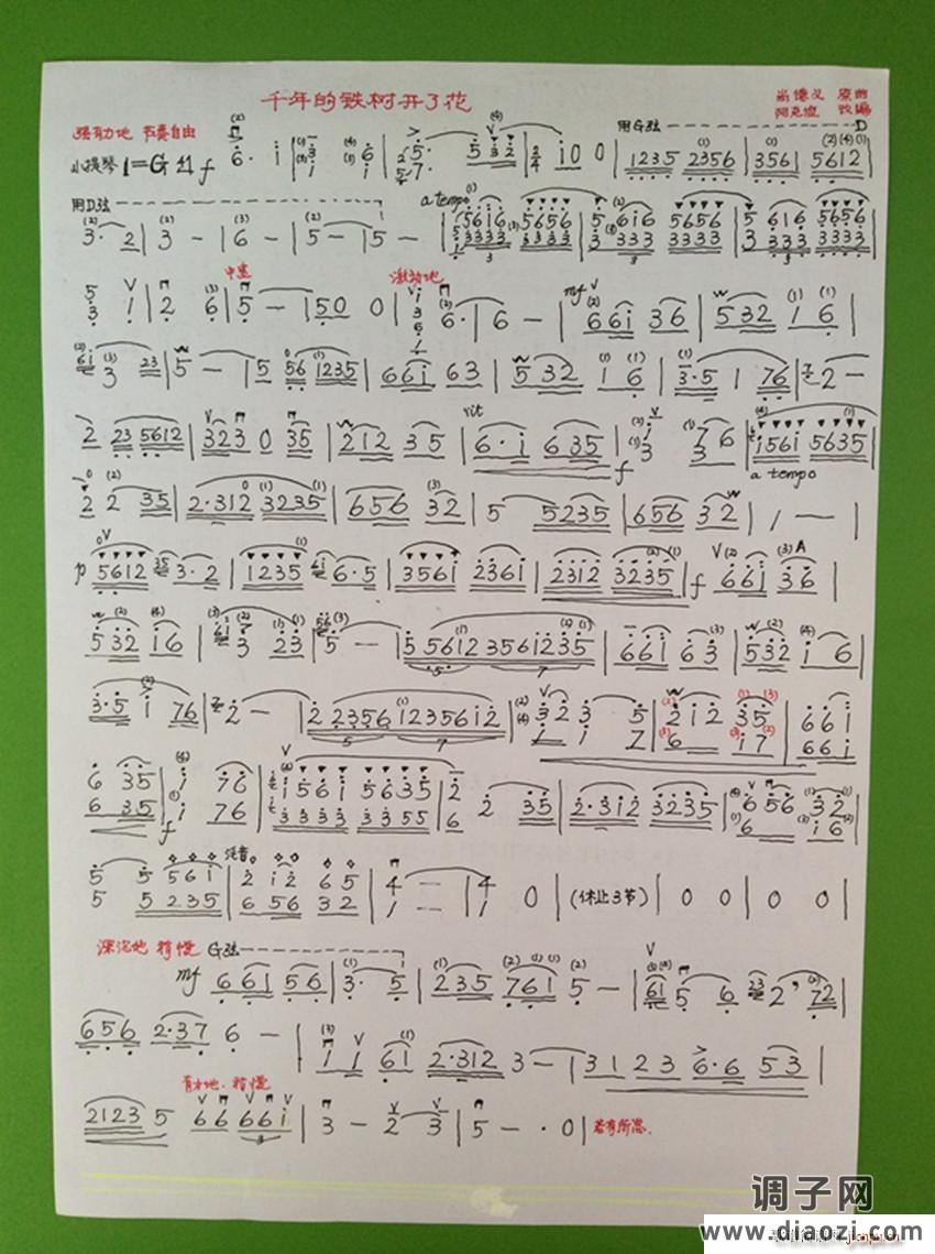 版小提琴独奏 千年的铁树开了花