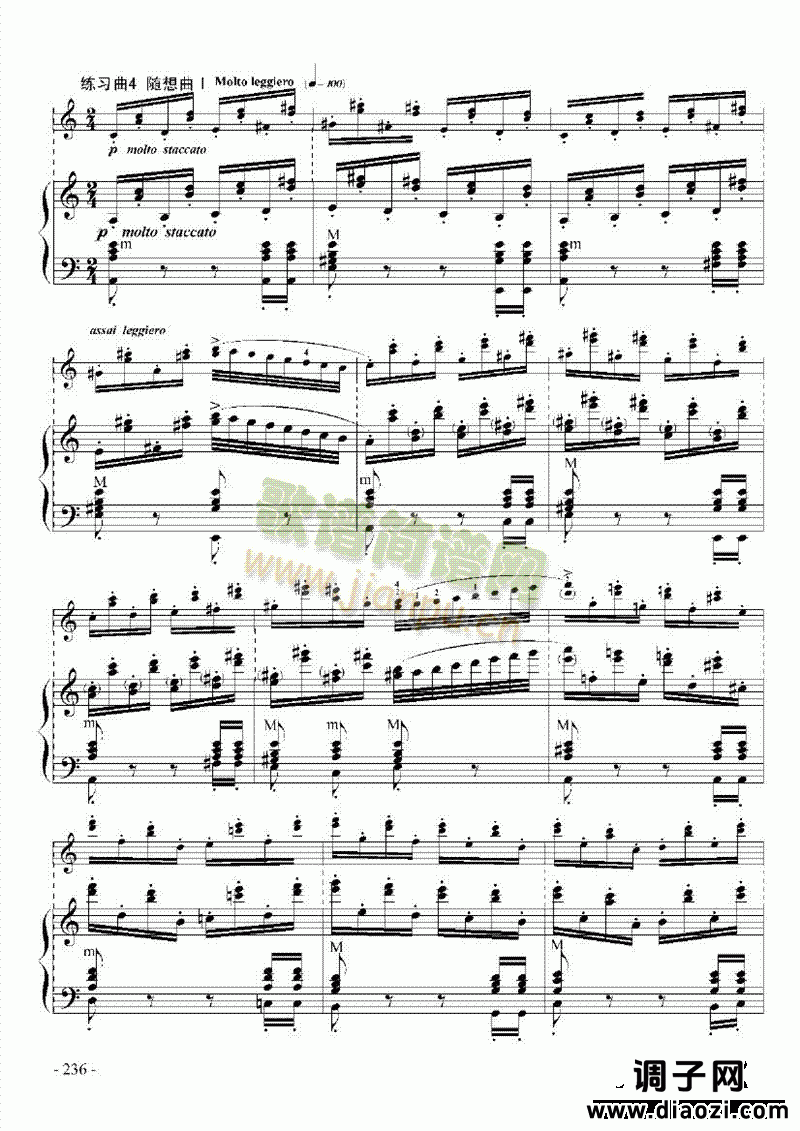 九级乐曲《帕格尼尼主题与变奏》 键盘类 手风琴