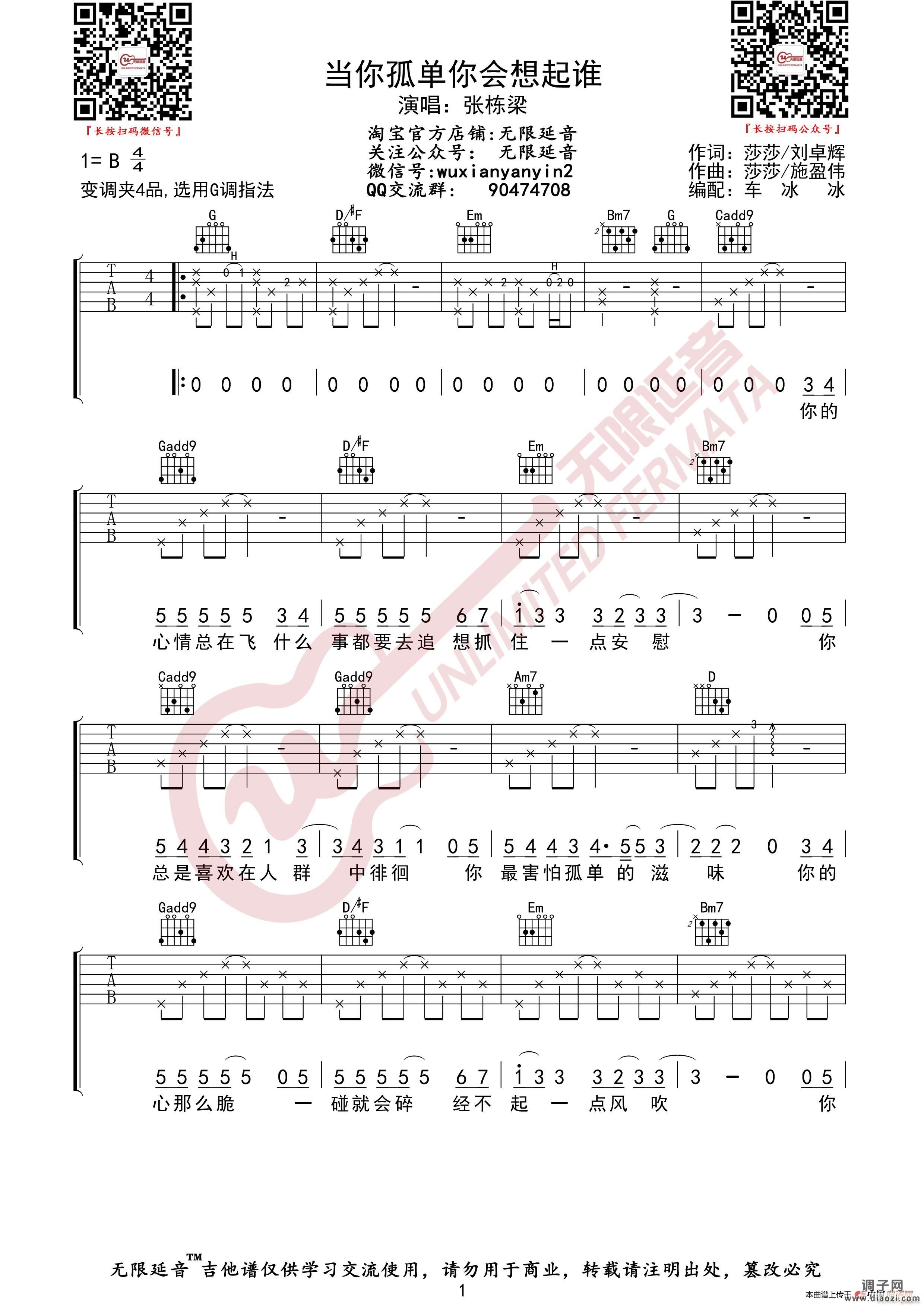 张栋梁 当你孤单你会想起谁 （无限延音编配）