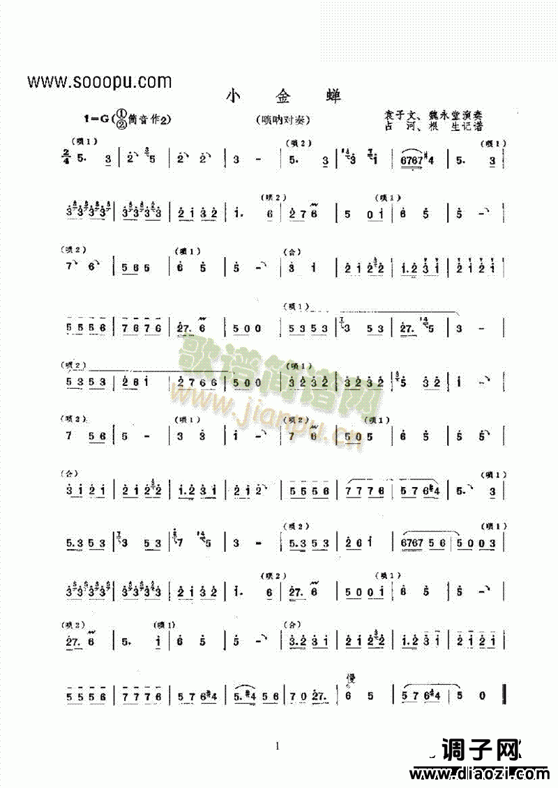 小金蝉 民乐类 唢呐