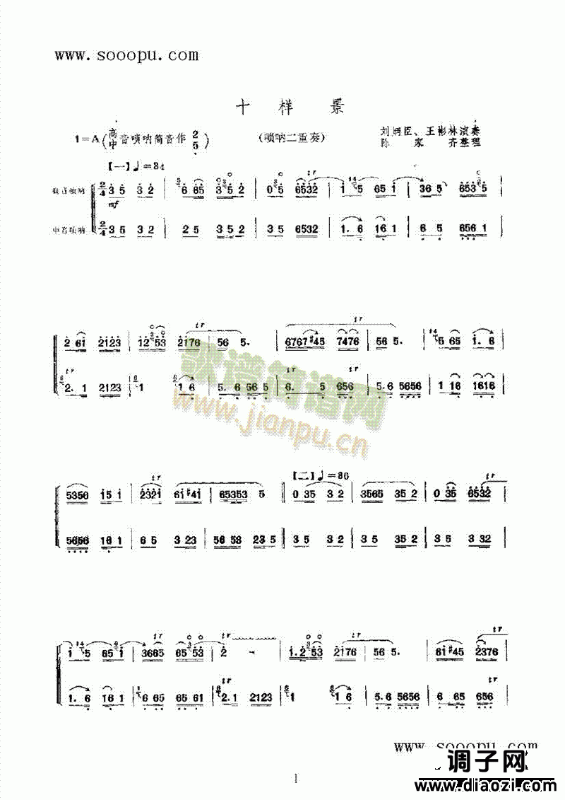 十样景 民乐类 唢呐