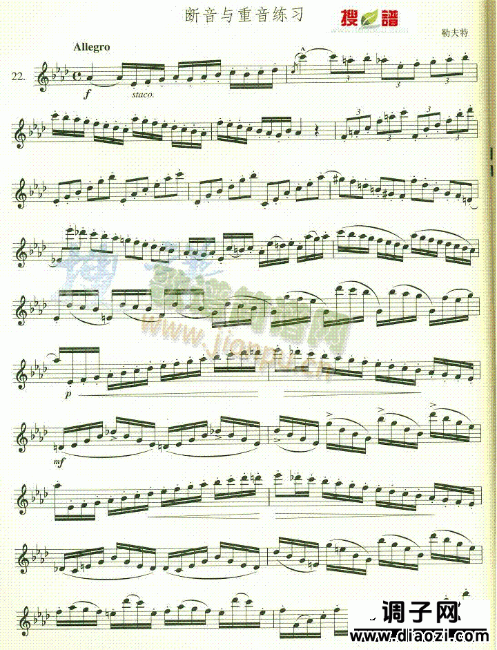 断音与重音练习