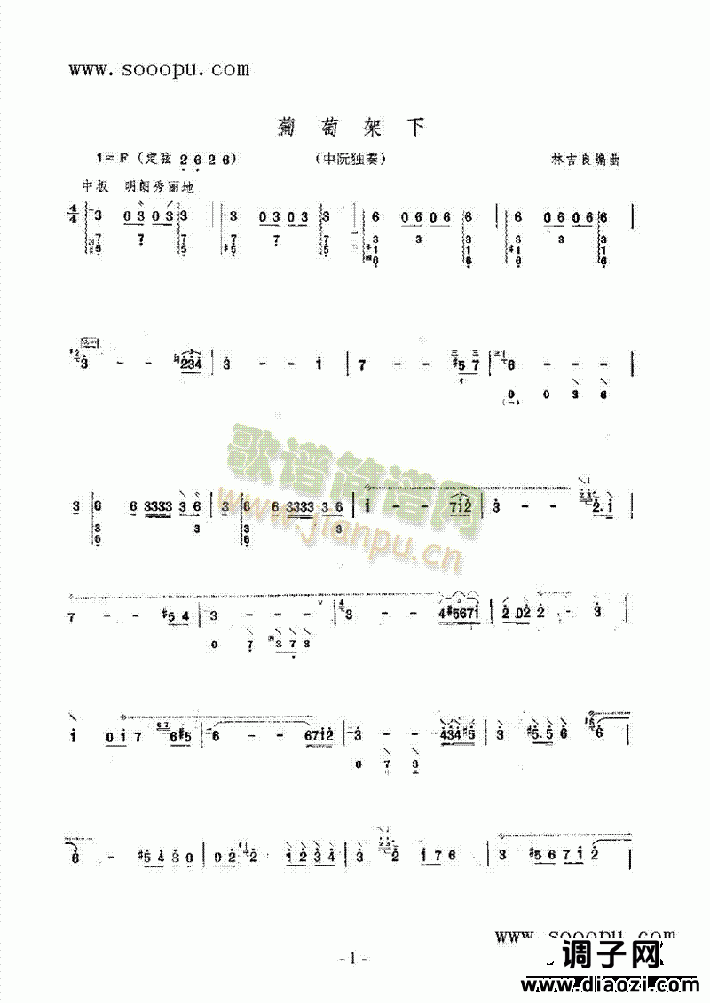 葡萄架下 民乐类 阮