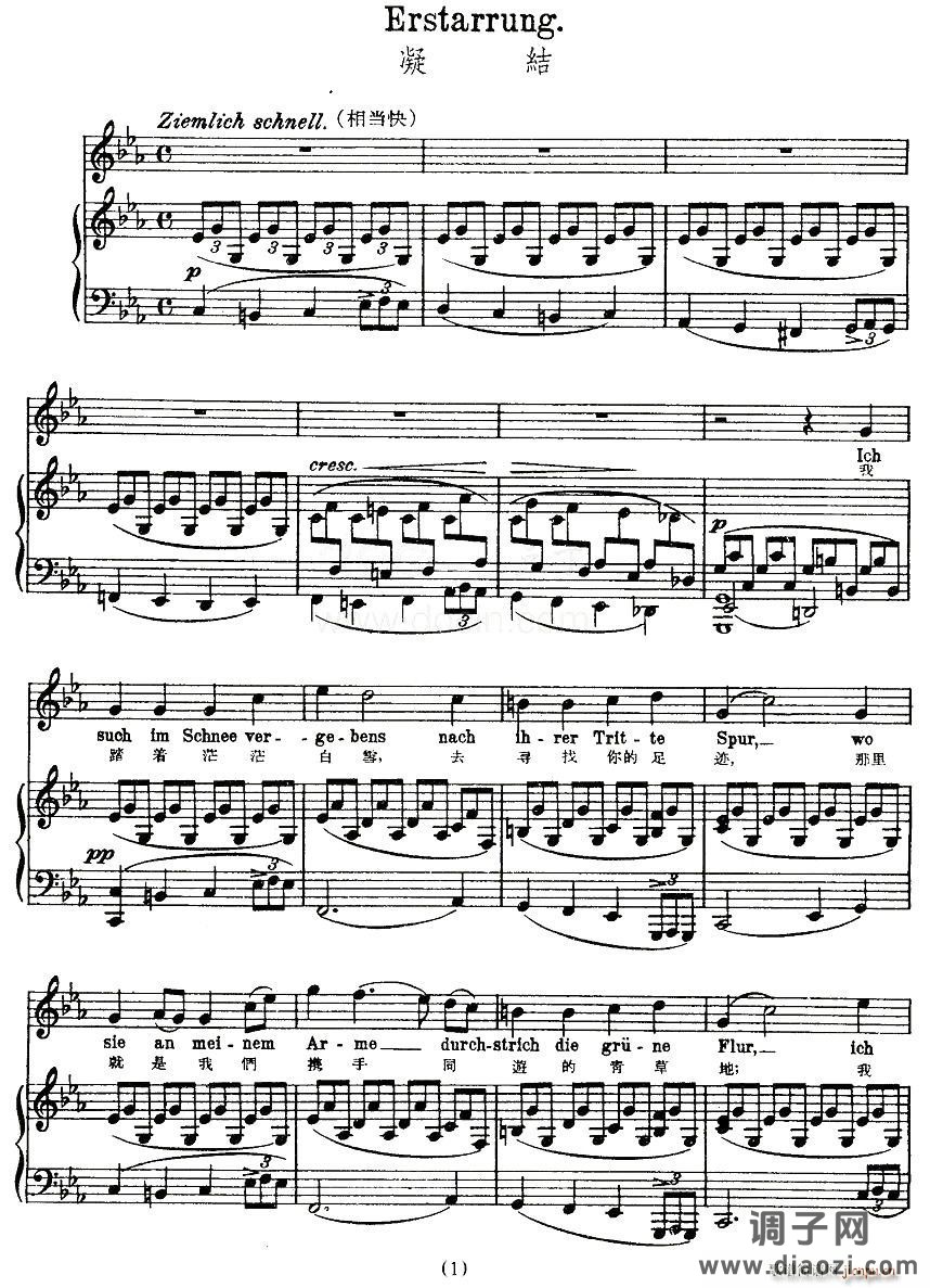 凝结（中外文对照版、正谱 [奥]）