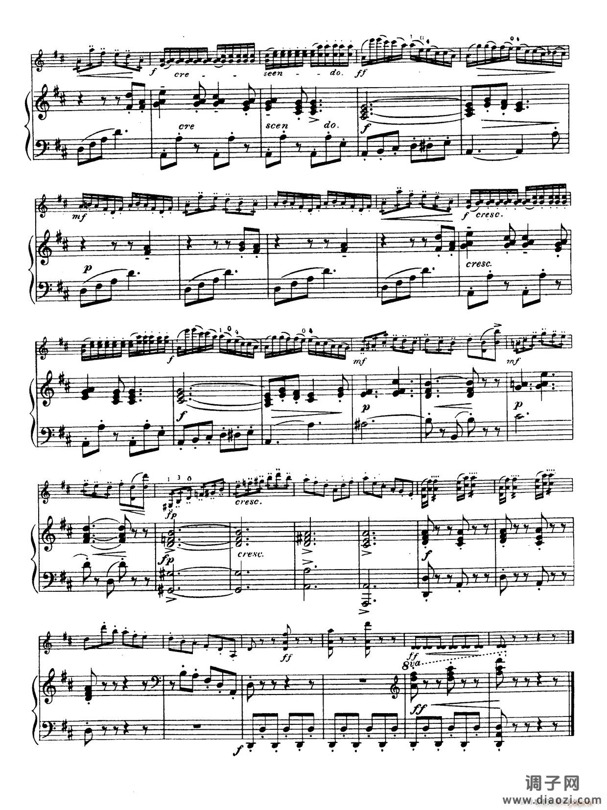 D大调学生协奏曲（塞茨作品第15号）