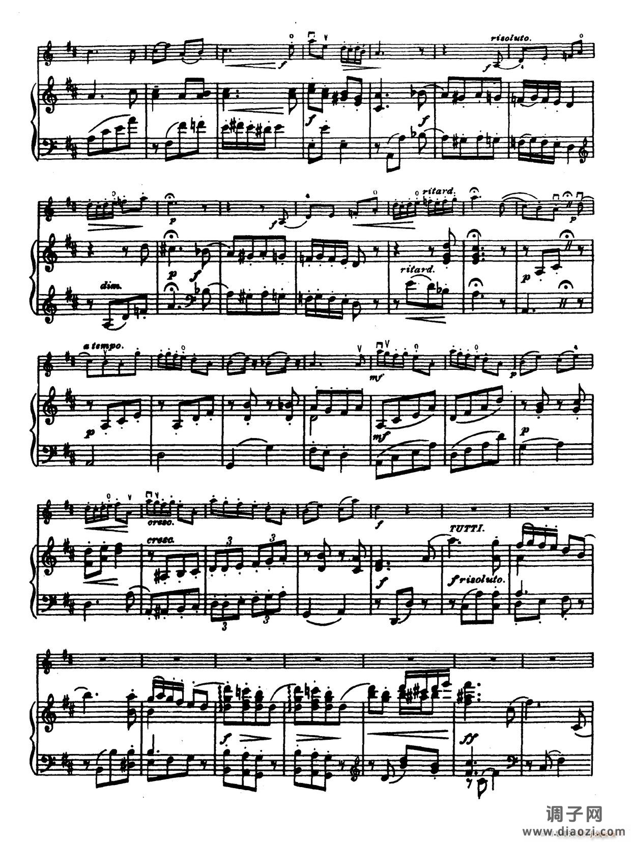 D大调学生协奏曲（塞茨作品第14号）