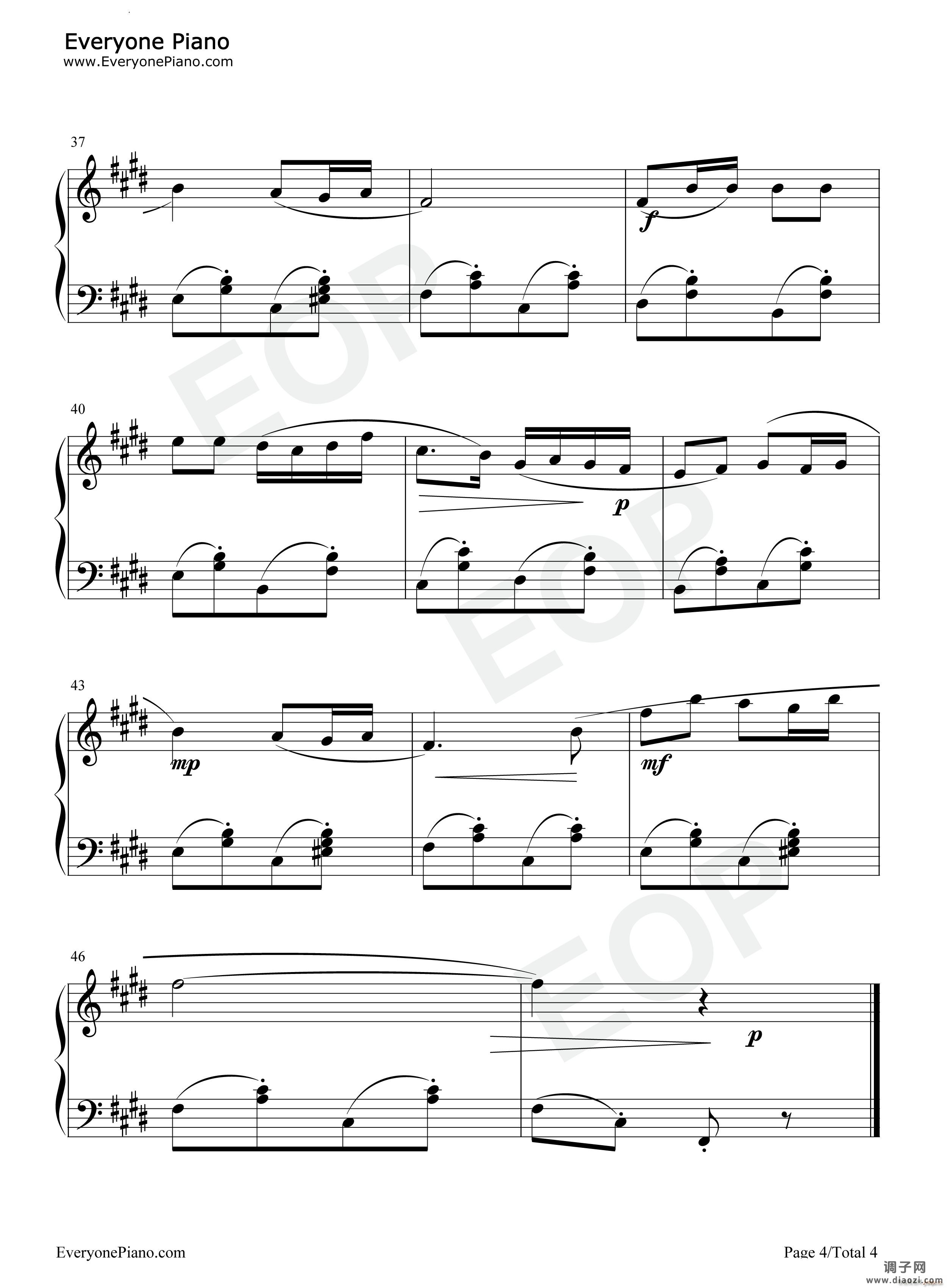 我的花儿 My Flowers