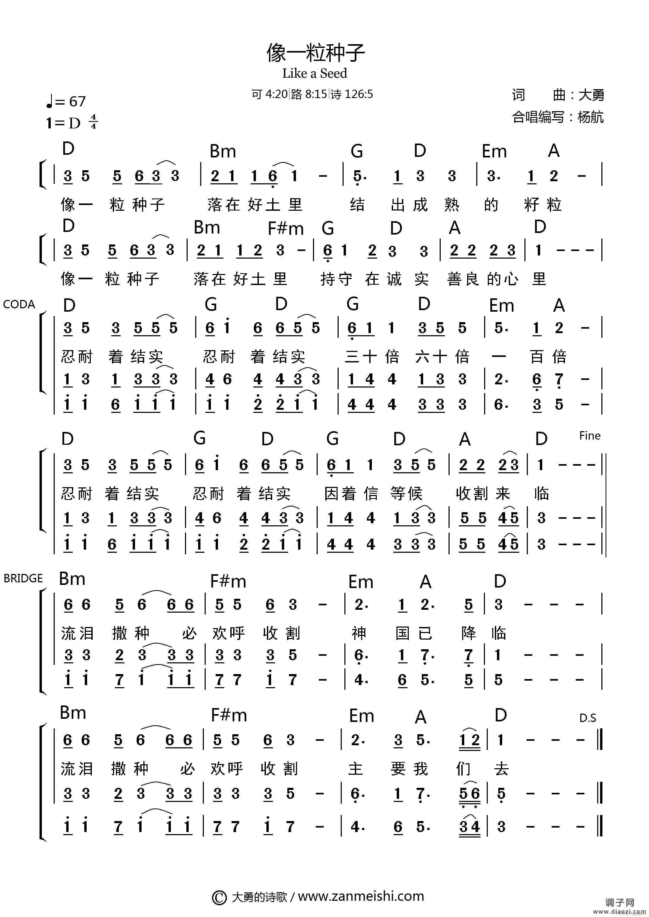 像一粒种子 官方和弦合唱