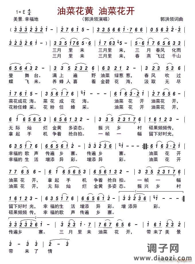 油菜花黄 油菜花开