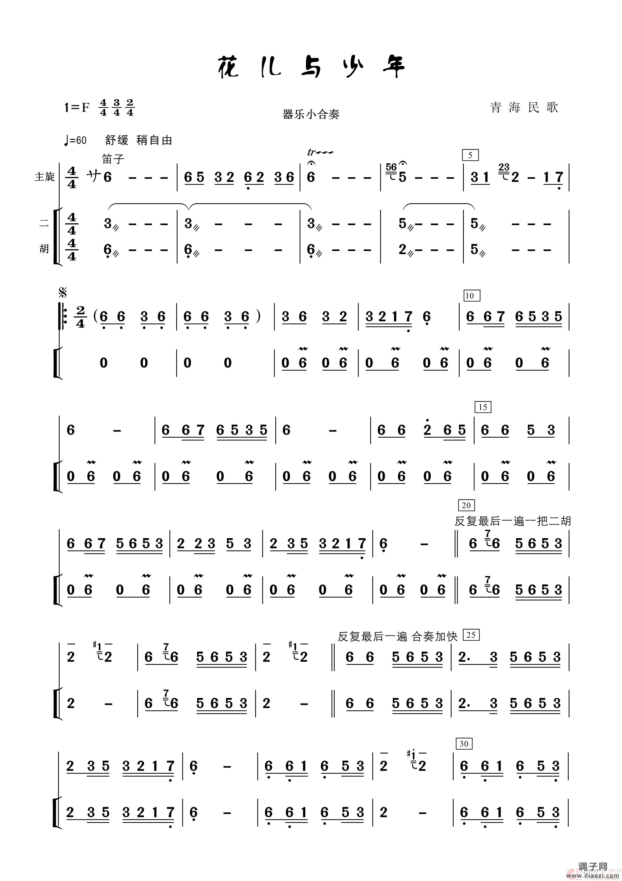 花儿与少年（民乐小合奏）
