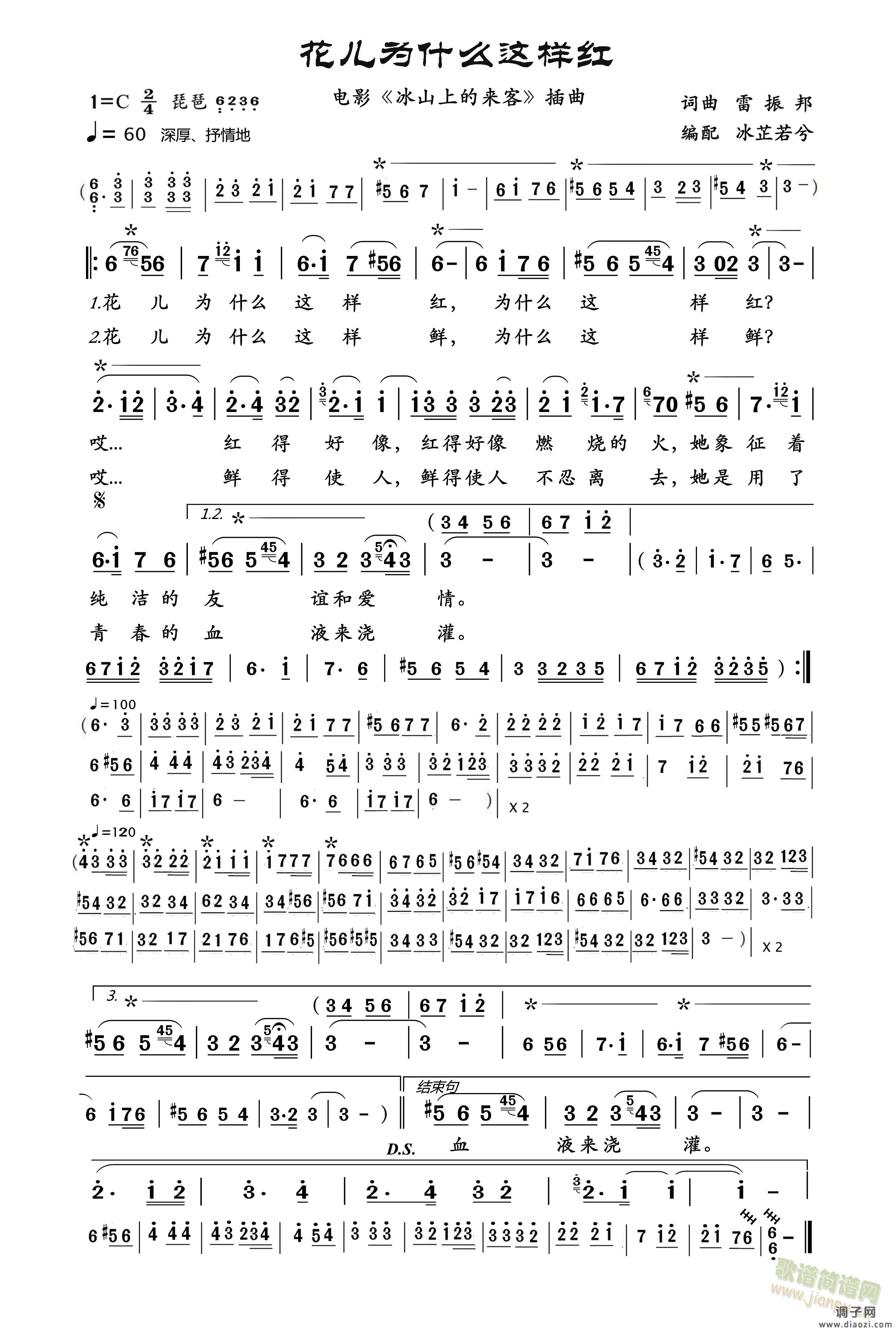 花儿为什么这样红