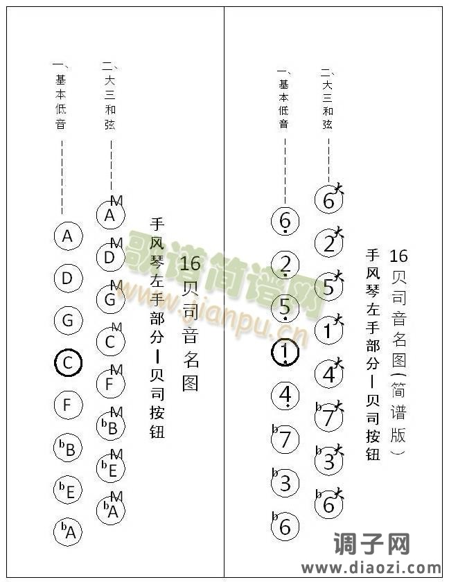手风琴 贝司音名图
