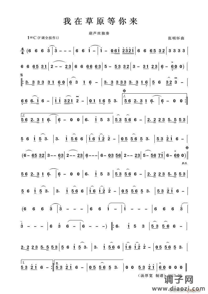 我在草原等你来（葫芦丝独奏）