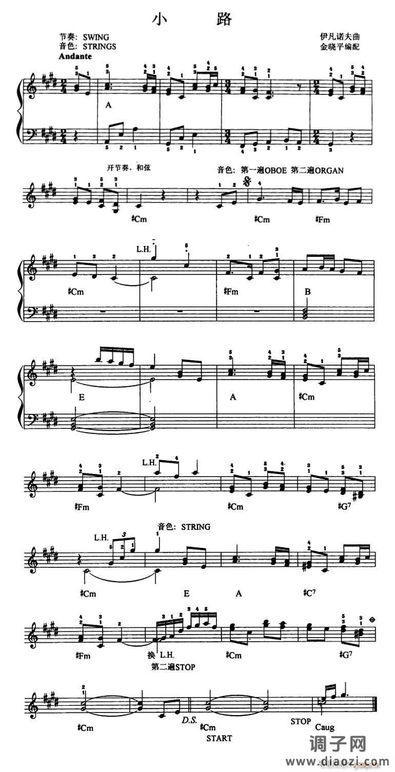小路（伊凡诺夫曲 金晓平编配）