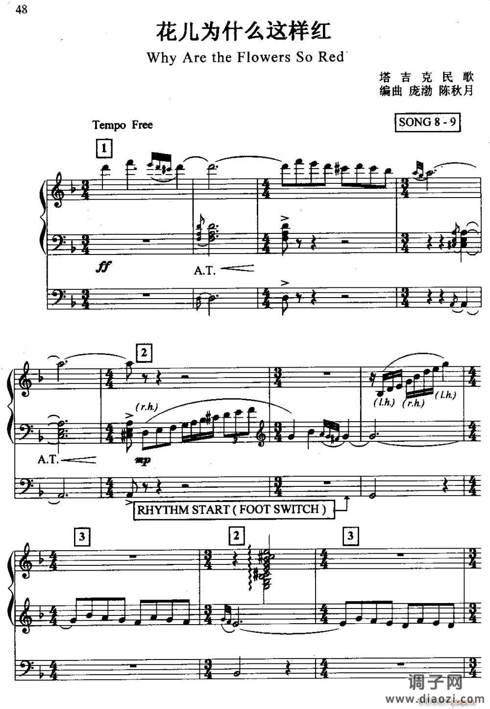 花儿为什么这样红（双排键电子琴）