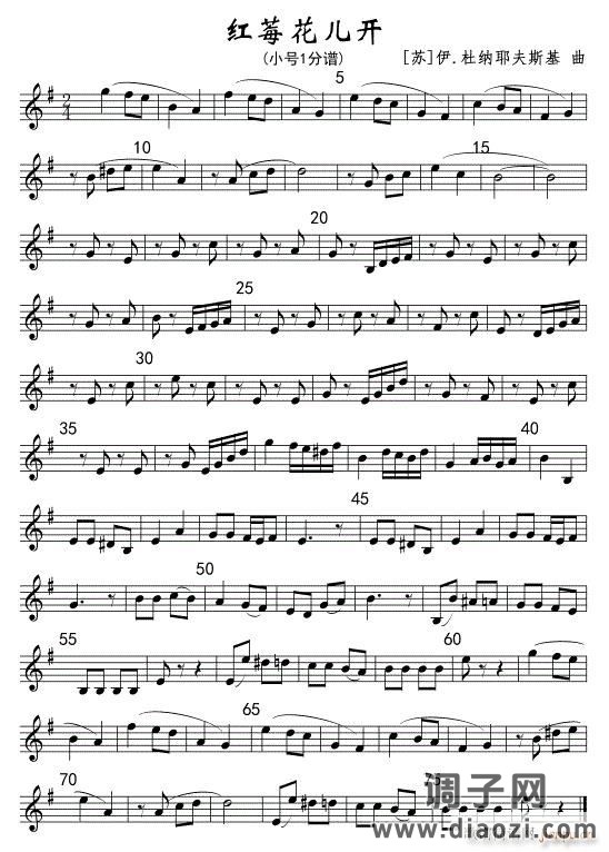 红莓花儿开(小号1分谱)