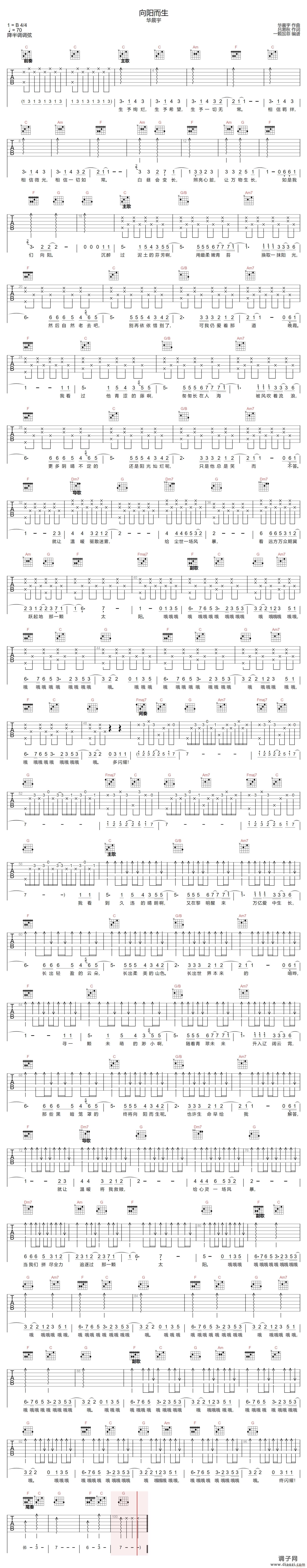 向阳而生 ( C调指法编配)