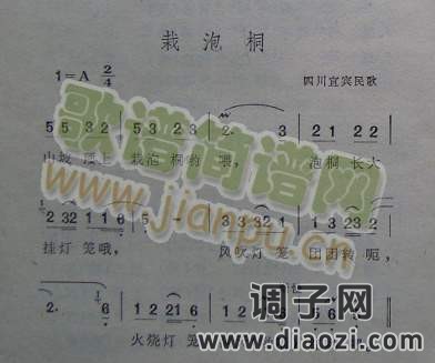 栽泡桐（四川宜宾民歌）