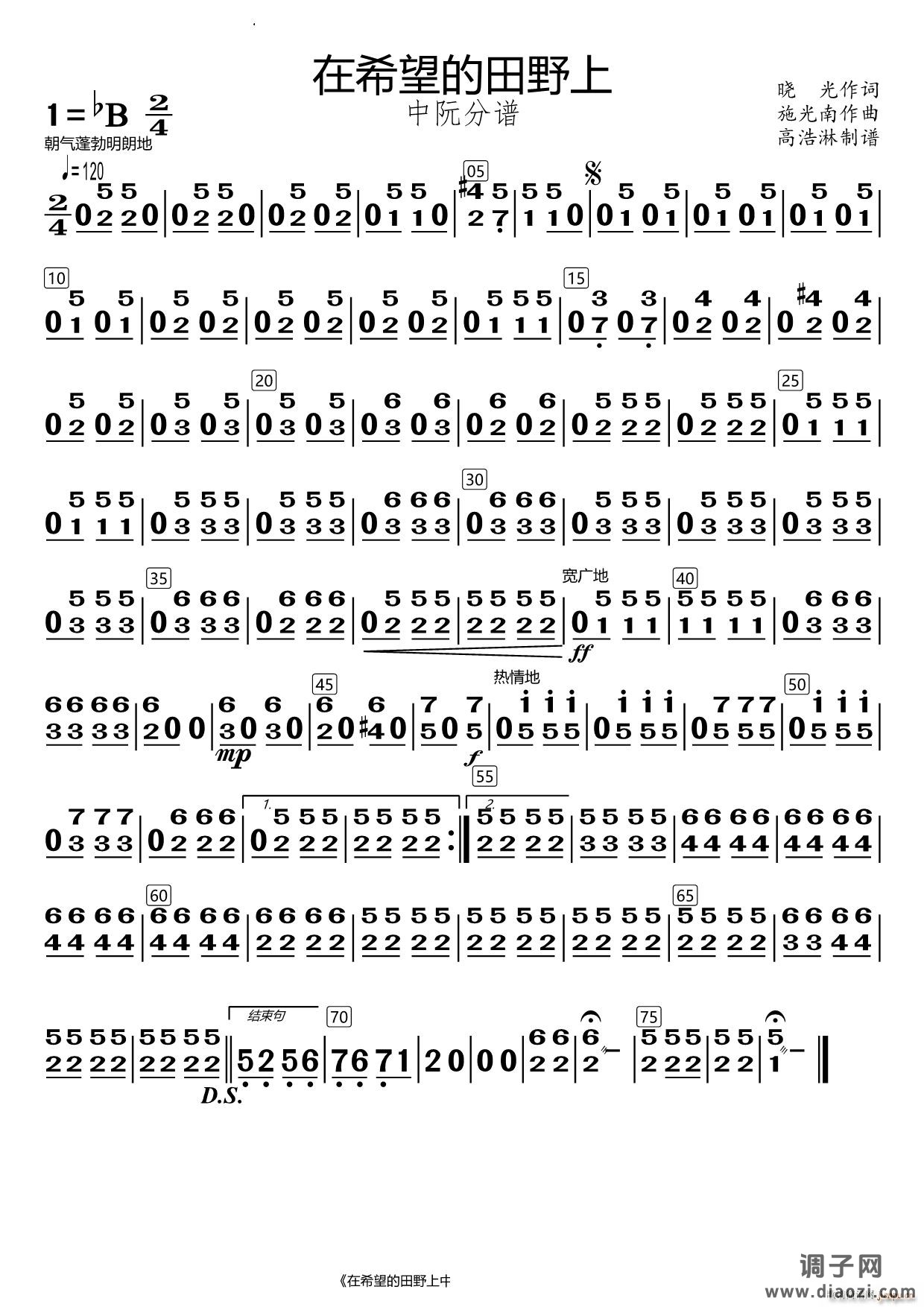 在希望的田野上中阮分谱