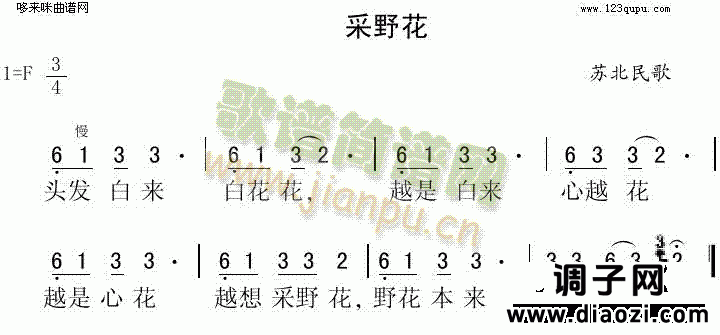 采野花（苏北民歌）