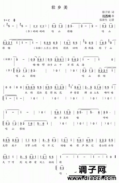 2010年CCTV春晚歌曲选：壮乡美