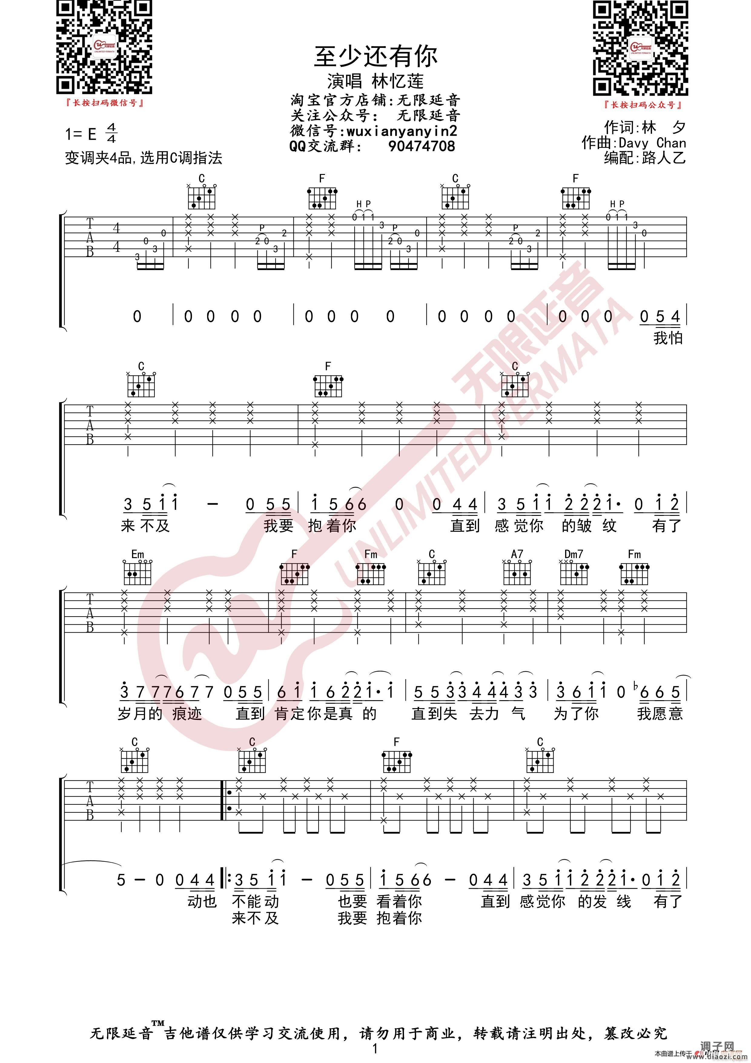 林忆莲 至少还有你 (无限延音编配)