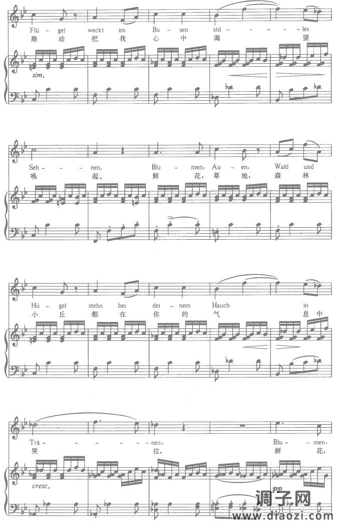 苏莱卡的第二支歌