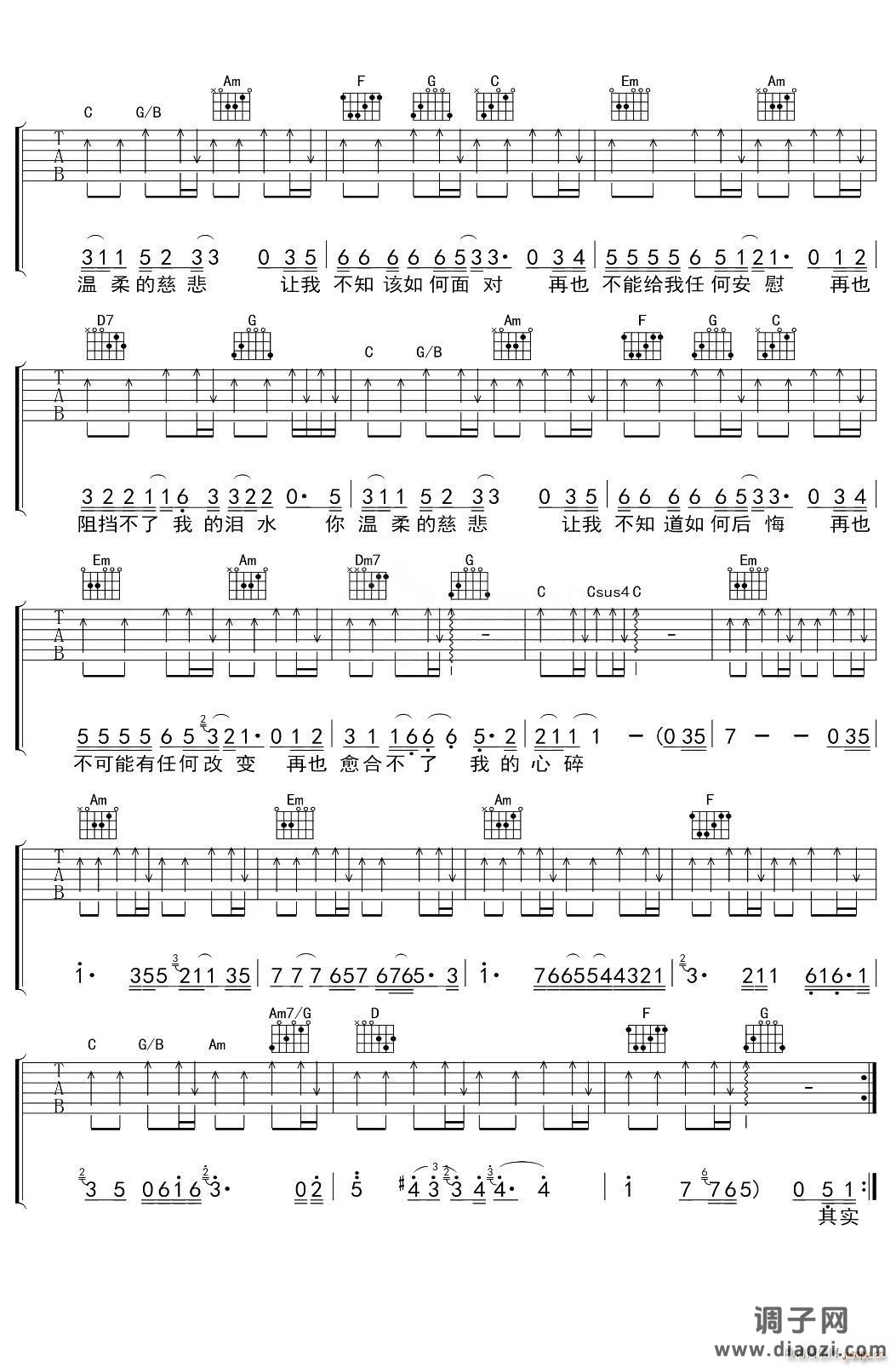 温柔的慈悲 -C调