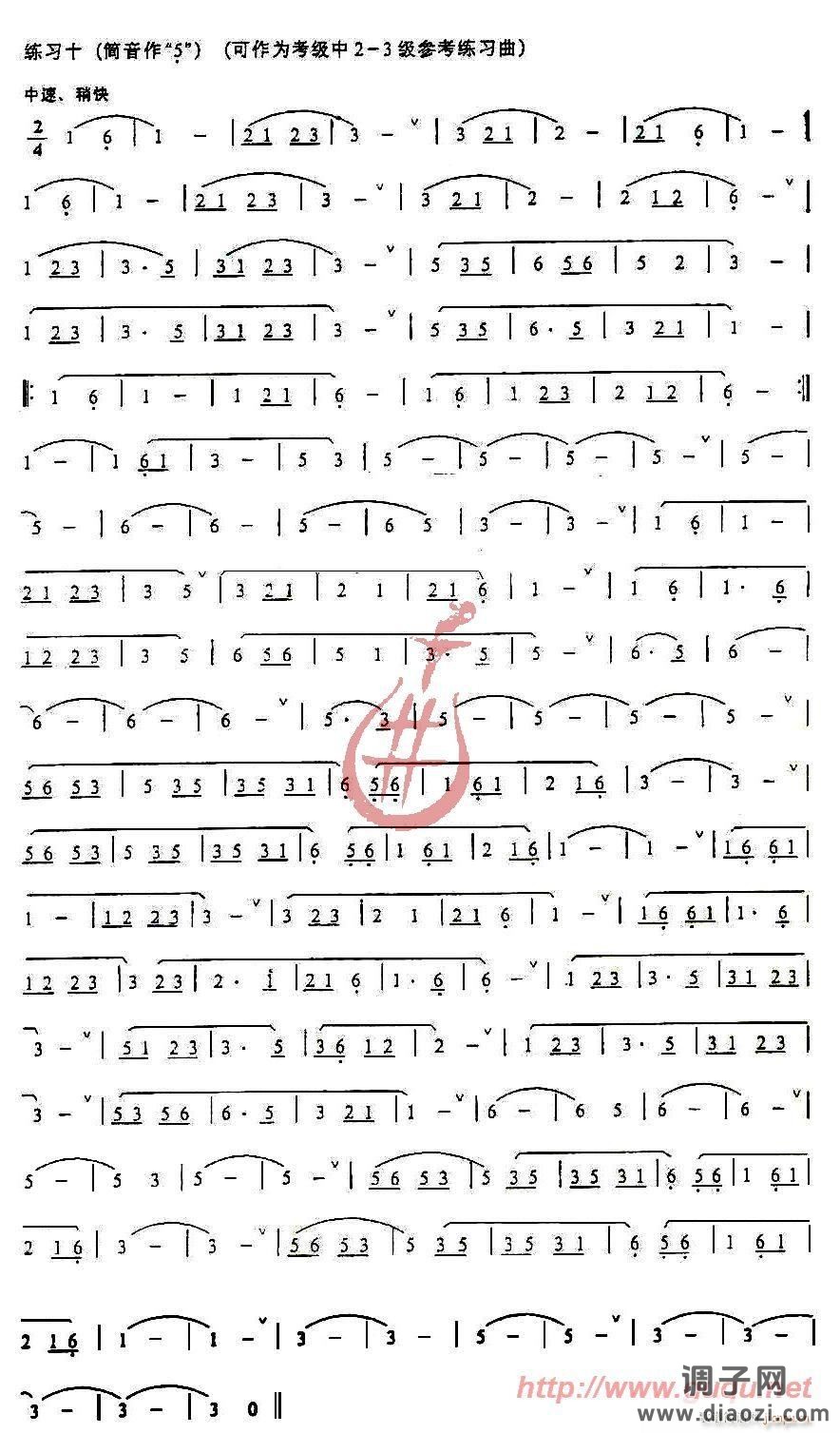 发音、长音及基础练习