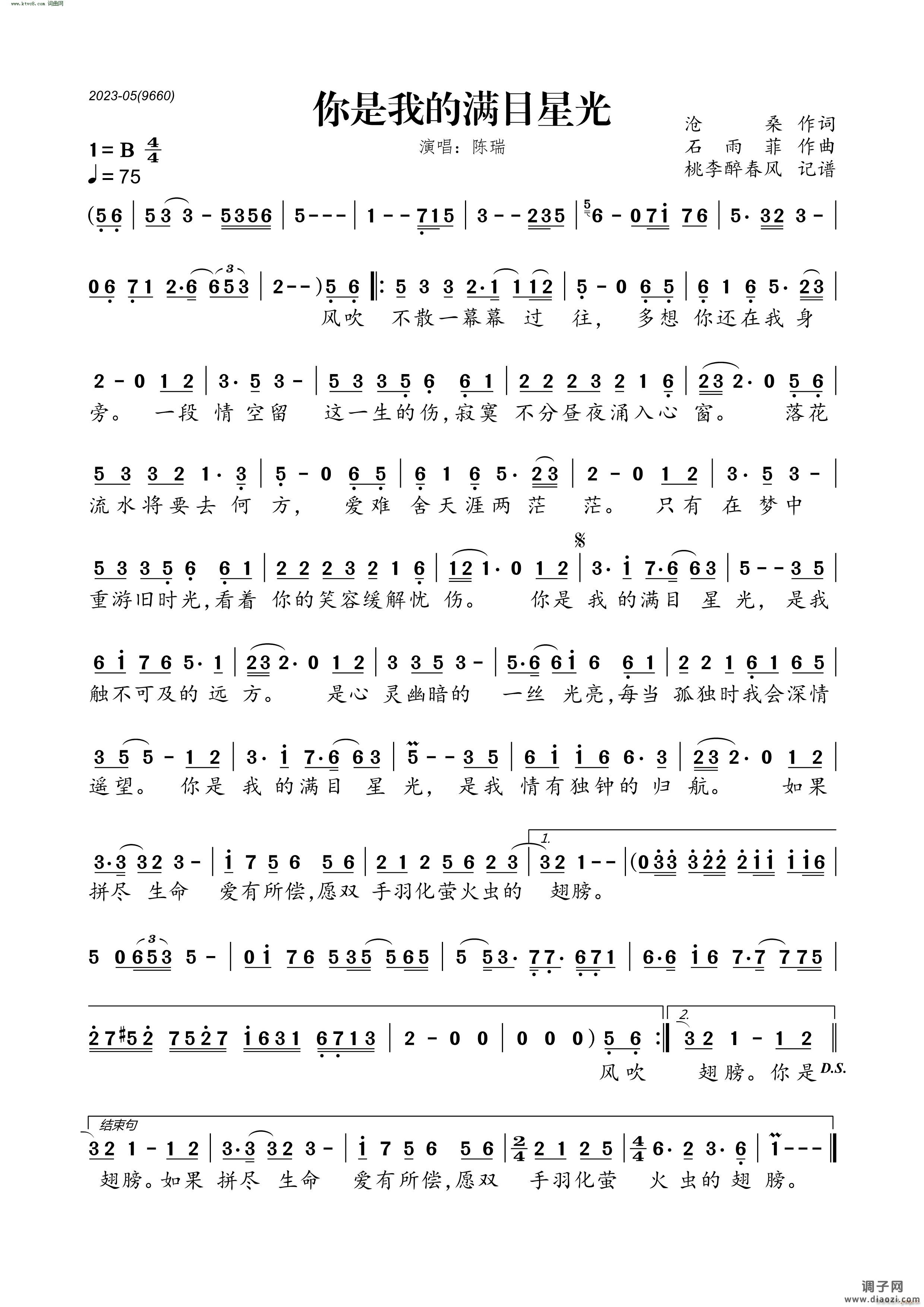 你是我的满目星光