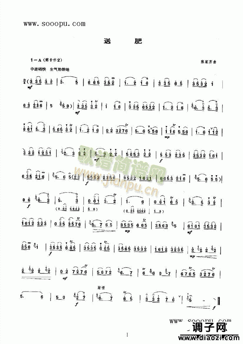 送肥 民乐类 唢呐
