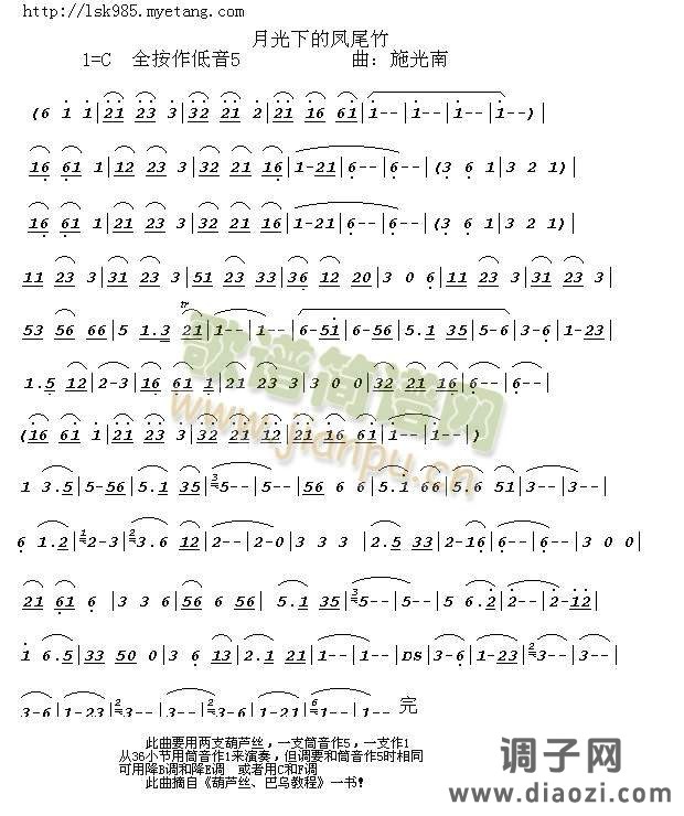 月光下的凤尾竹