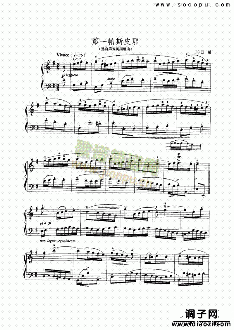 第一帕斯皮耶 键盘类 手风琴