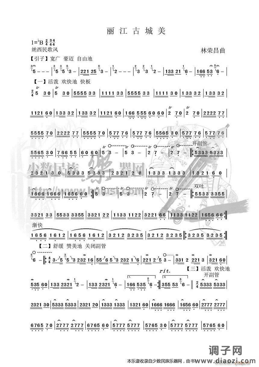 《丽江古城美》葫芦丝