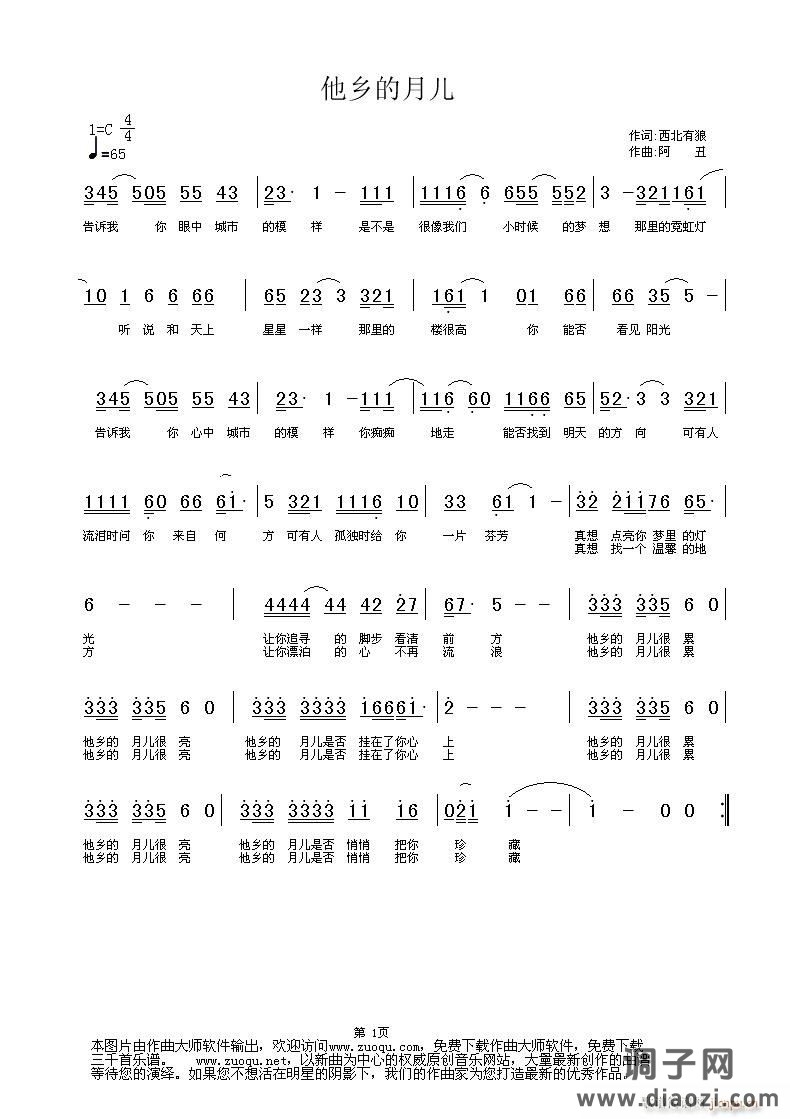 [原创]他乡的月儿 作词:西北有狼 作曲:阿丑