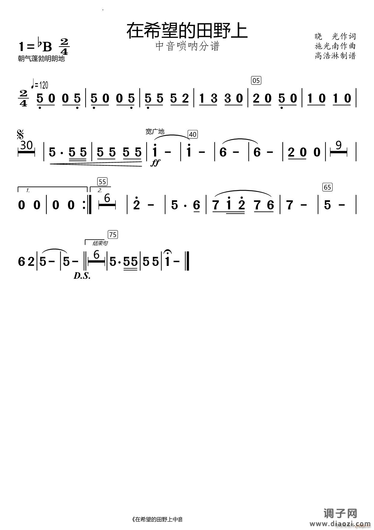 在希望的田野上中音唢呐分谱