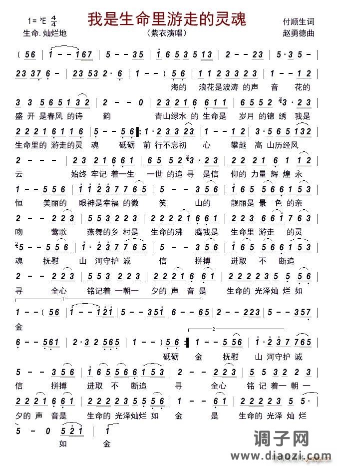 我是生命里游走的灵魂