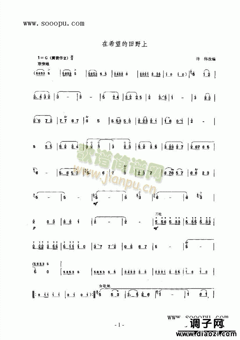 在希望的田野上 民乐类 唢呐