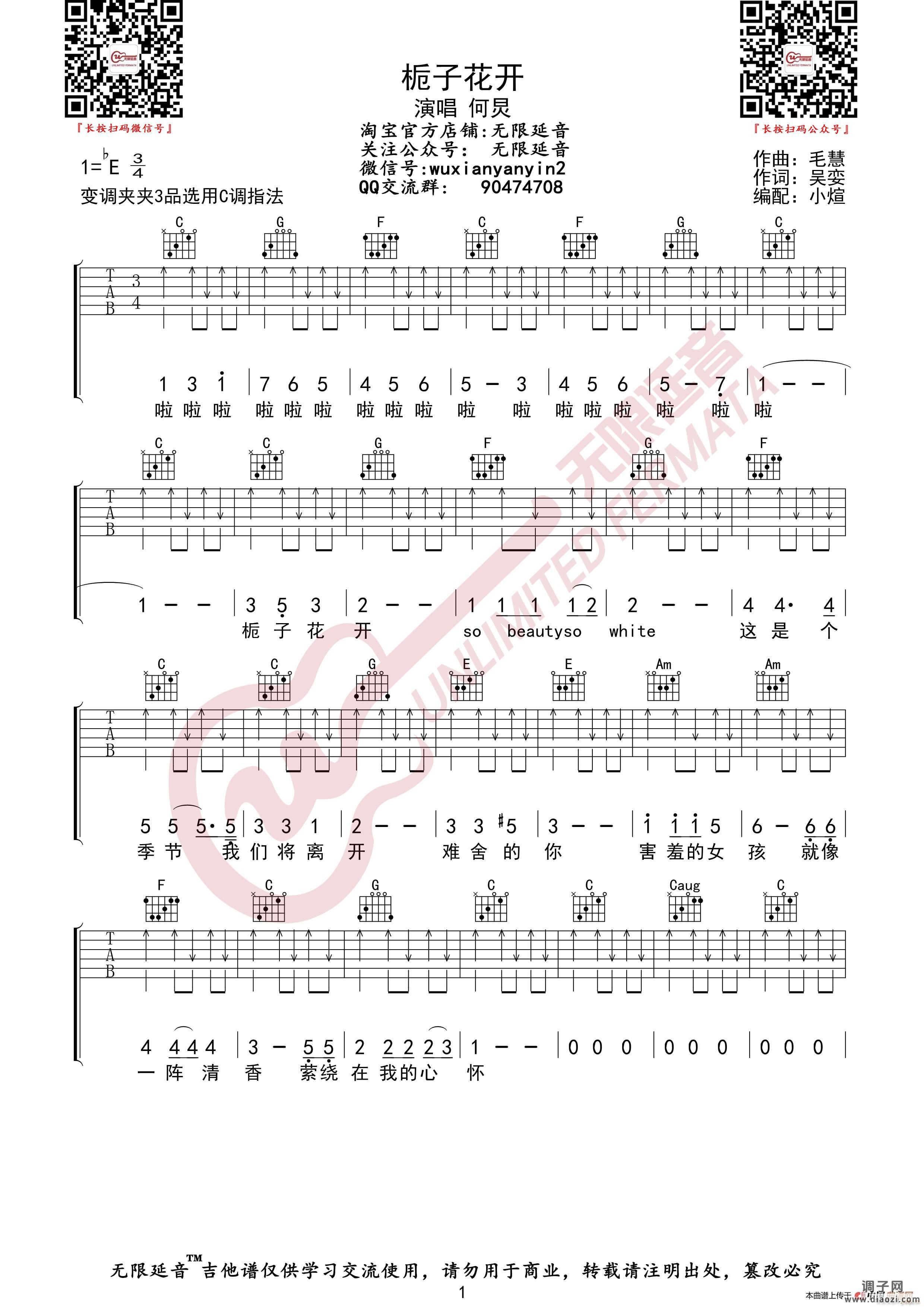何炅 栀子花开 （无限延音编配）