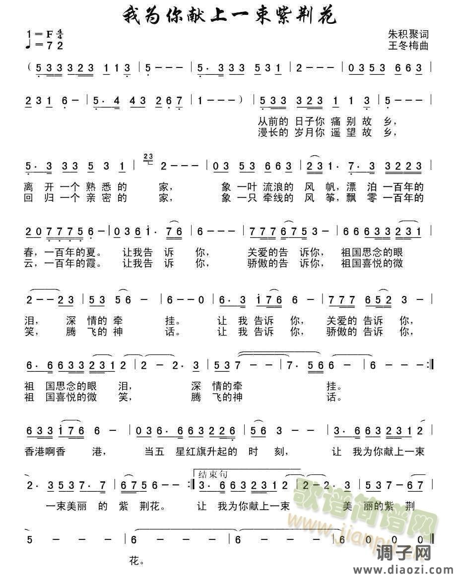 为你献一束紫荆花