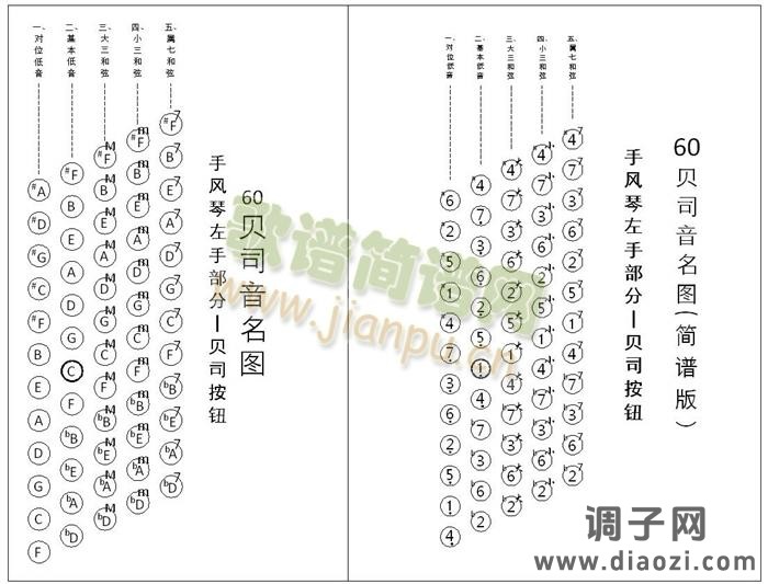 手风琴 贝司音名图