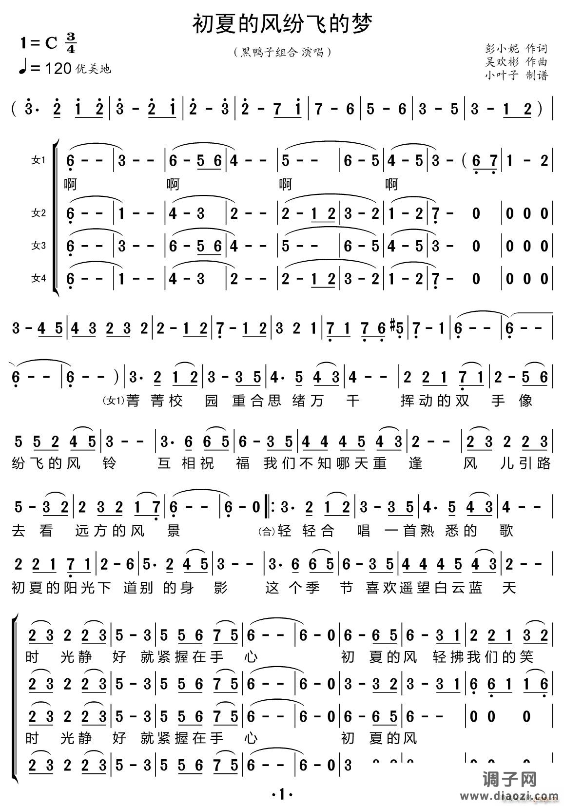 初夏的风纷飞的梦