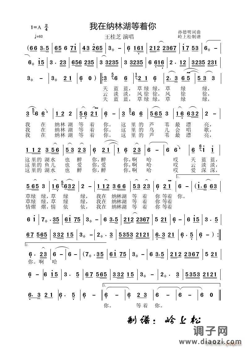 我在纳林湖等着你草原歌曲