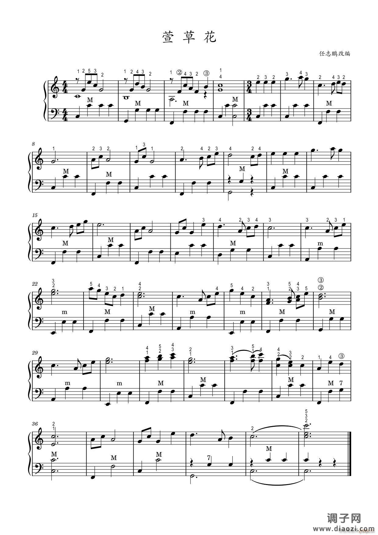 萱草花（手风琴 高清版）